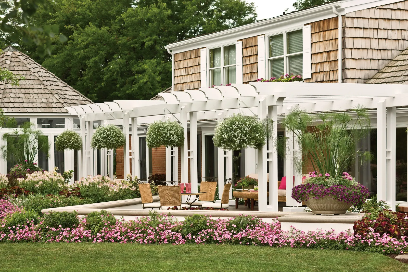 Plum II Calibrachoa — where ample light supports dense growth and steady bloom production