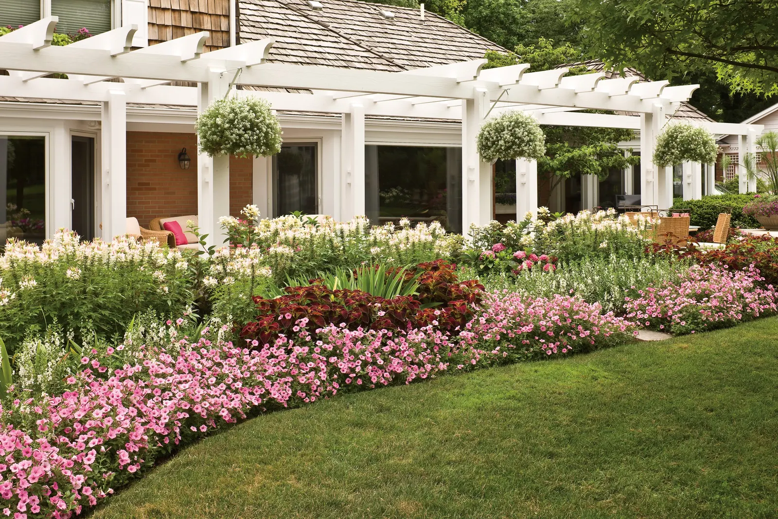 Plum II Calibrachoa — jewel-like movement to sunny outdoor living spaces and entry displays