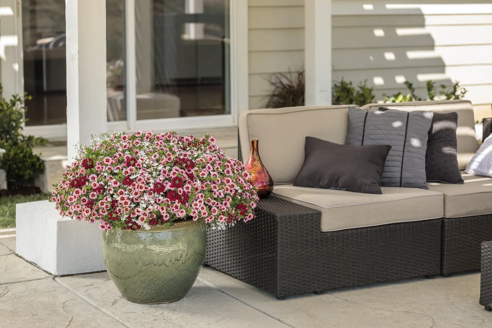 Cloud White™ Lobelia (Lobelia erinus) — It grows 6-12 inches tall and spreads 12-24 inches, with a soft, cascading edge
