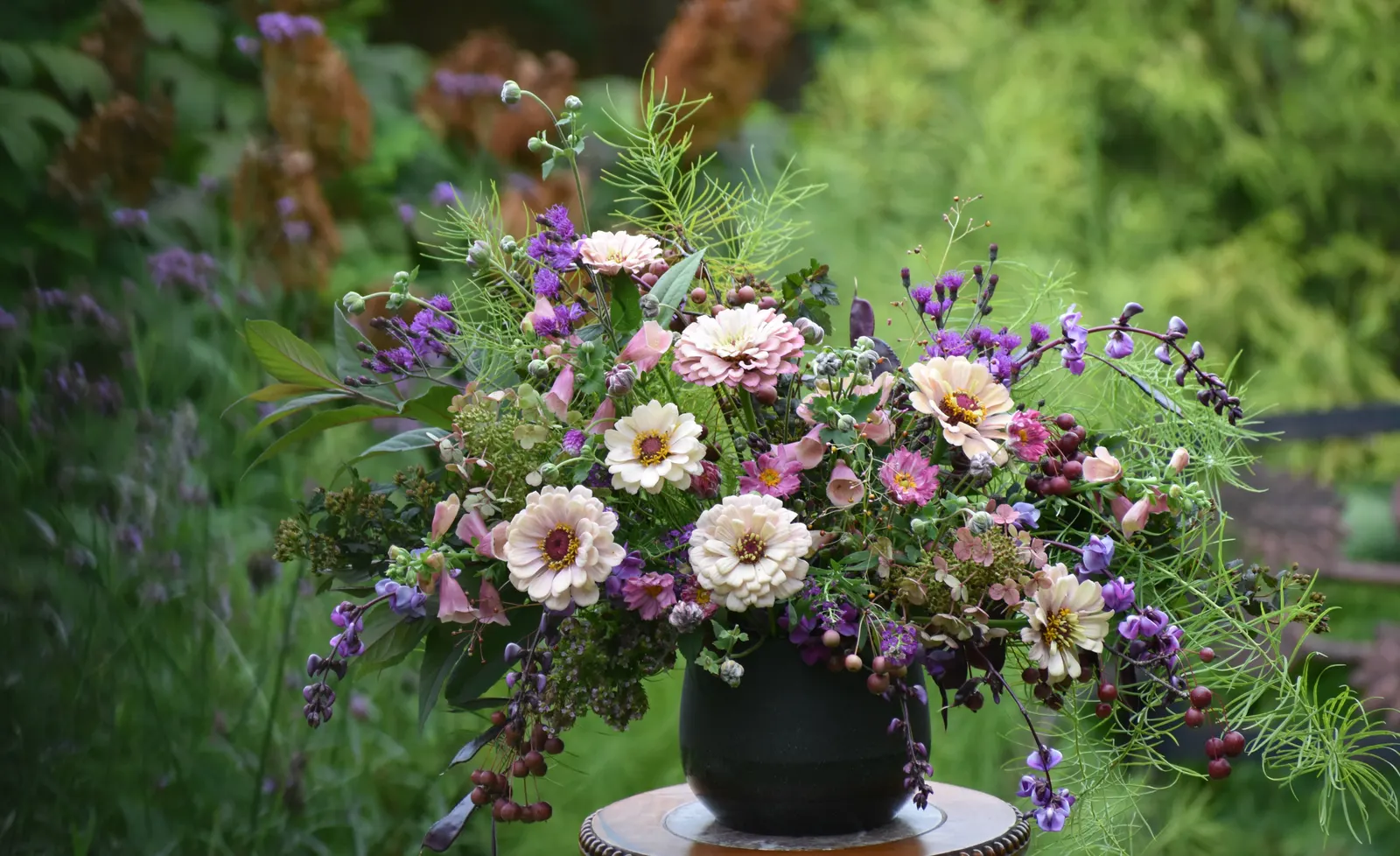 Little Quick Fire® Panicle Hydrangea (Hydrangea paniculata) — Little Quick Fire® is especially useful where designers want the hydrangea look in a more
