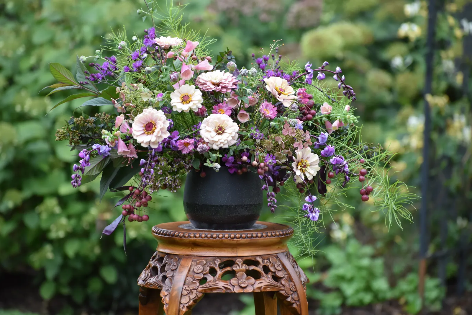 Little Quick Fire® Panicle Hydrangea (Hydrangea paniculata) — pink and white flowers in the garden