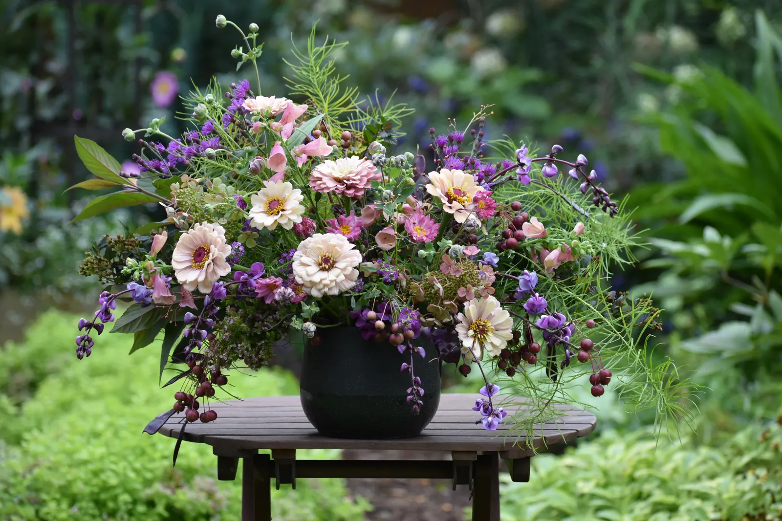 Little Quick Fire® Panicle Hydrangea (Hydrangea paniculata) — Hardy in USDA Zones 3 through 9
