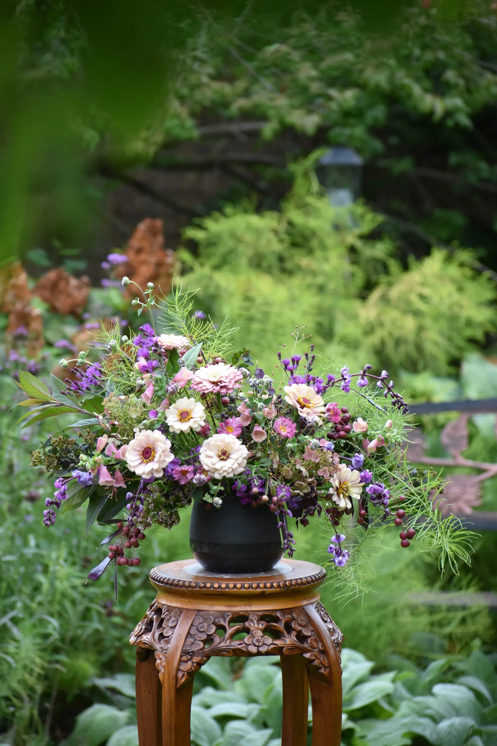 Little Quick Fire® Panicle Hydrangea (Hydrangea paniculata) — Some gardeners also note its sturdy stems and pleasing late-season foliage color