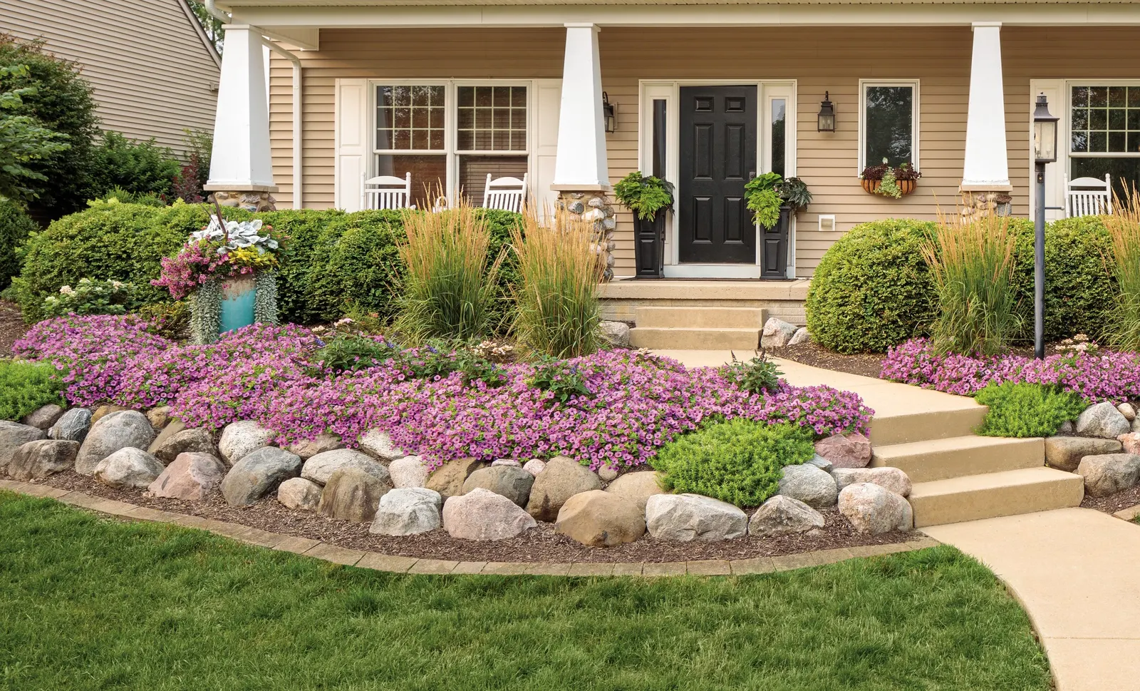Little Quick Fire® Panicle Hydrangea (Hydrangea paniculata) — Against bright green foliage