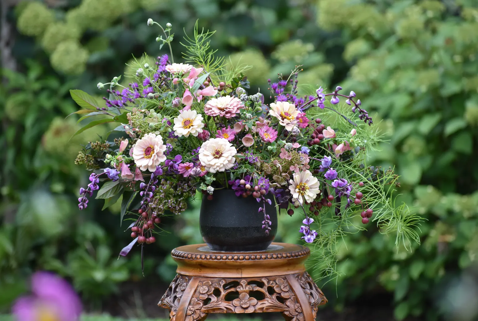Little Quick Fire® Panicle Hydrangea (Hydrangea paniculata) — allowing for at least several hours of good light to encourage strong growth and generous bloom