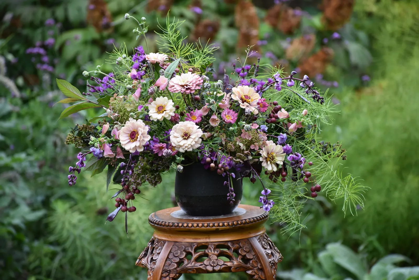 Little Quick Fire® Panicle Hydrangea (Hydrangea paniculata) — its flower color is not affected by soil pH.<br><br>Little Quick Fire® is a graceful choice for