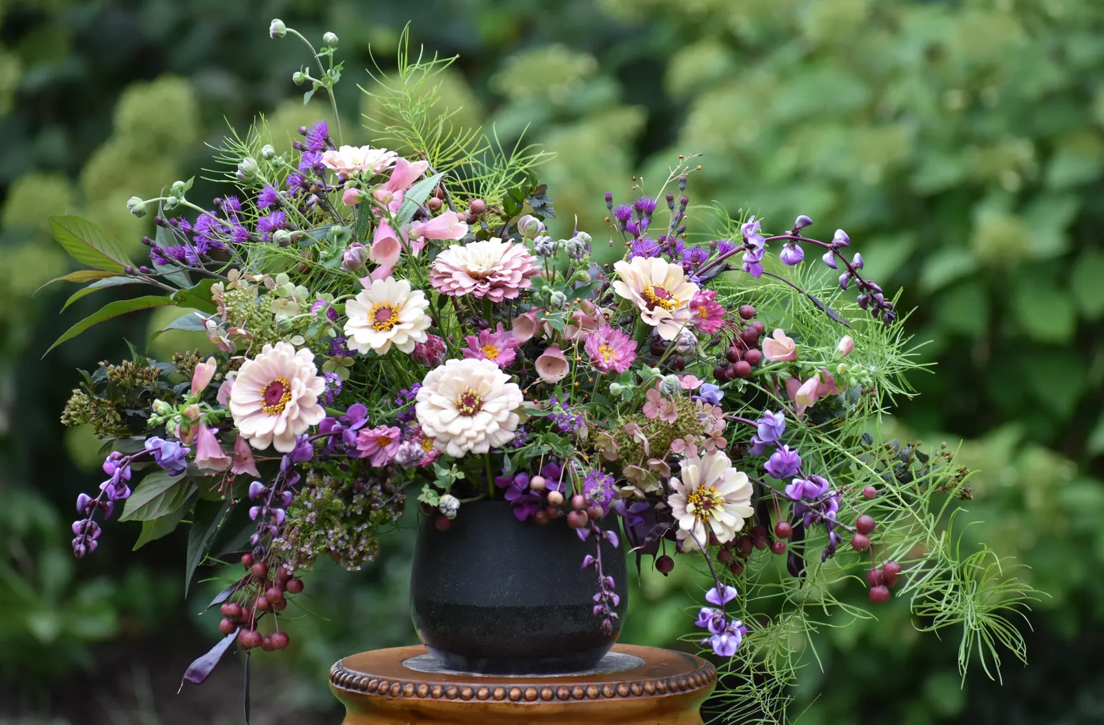 Little Quick Fire® Panicle Hydrangea (Hydrangea paniculata) — Because it blooms on new wood