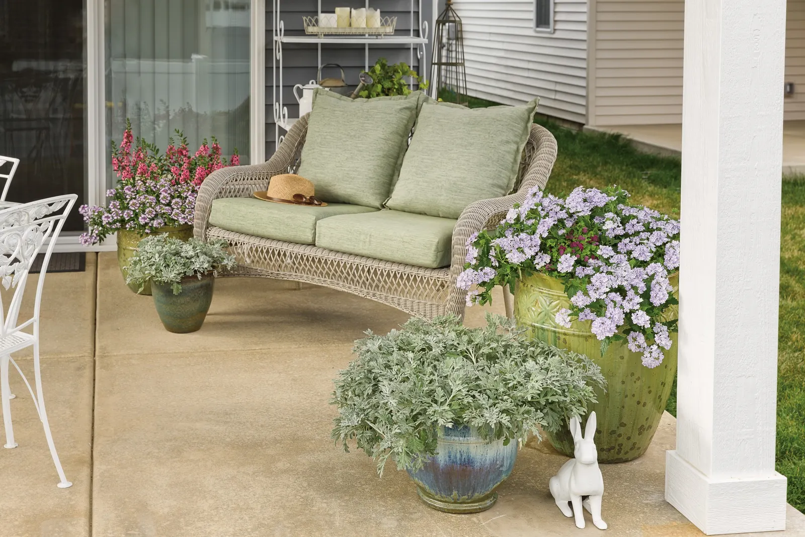 Lovie Dovie™ Petunia — is a mounding-trailing annual with white blooms marked by a vivid pink star and fresh green foliage