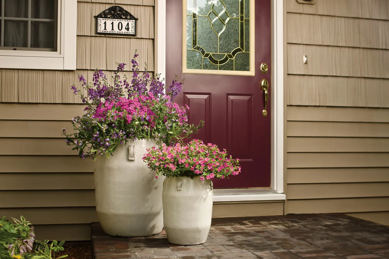 Summer Snapdragon (Angelonia) — The heat tolerant annual flowers feature grape-scented foliage and low maintenance performance