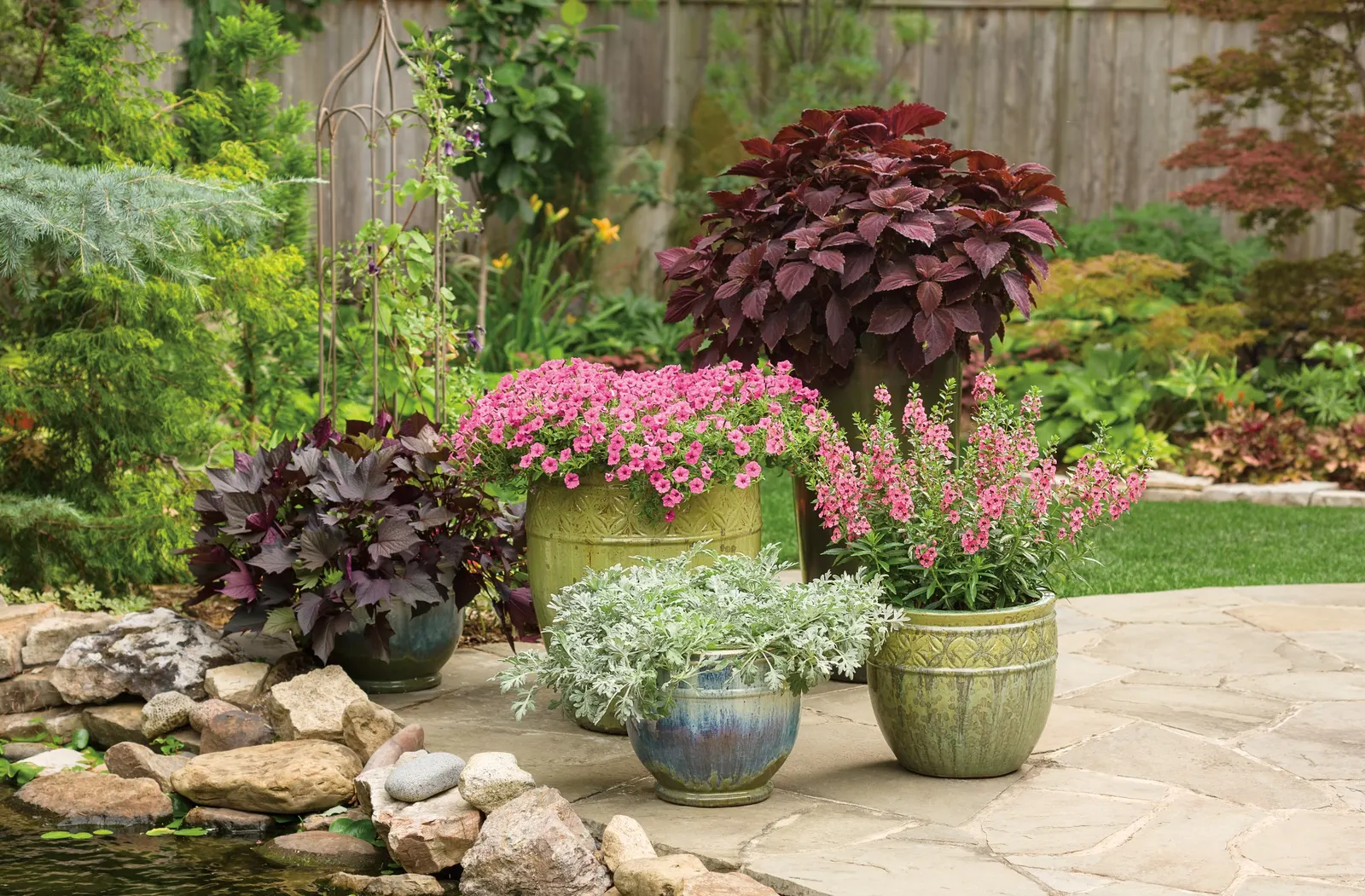 Silver Bullet® Wormwood (Artemisia stelleriana) — is a luminous foliage annual from the Proven Winners® collection; though often grown and sold as an annual