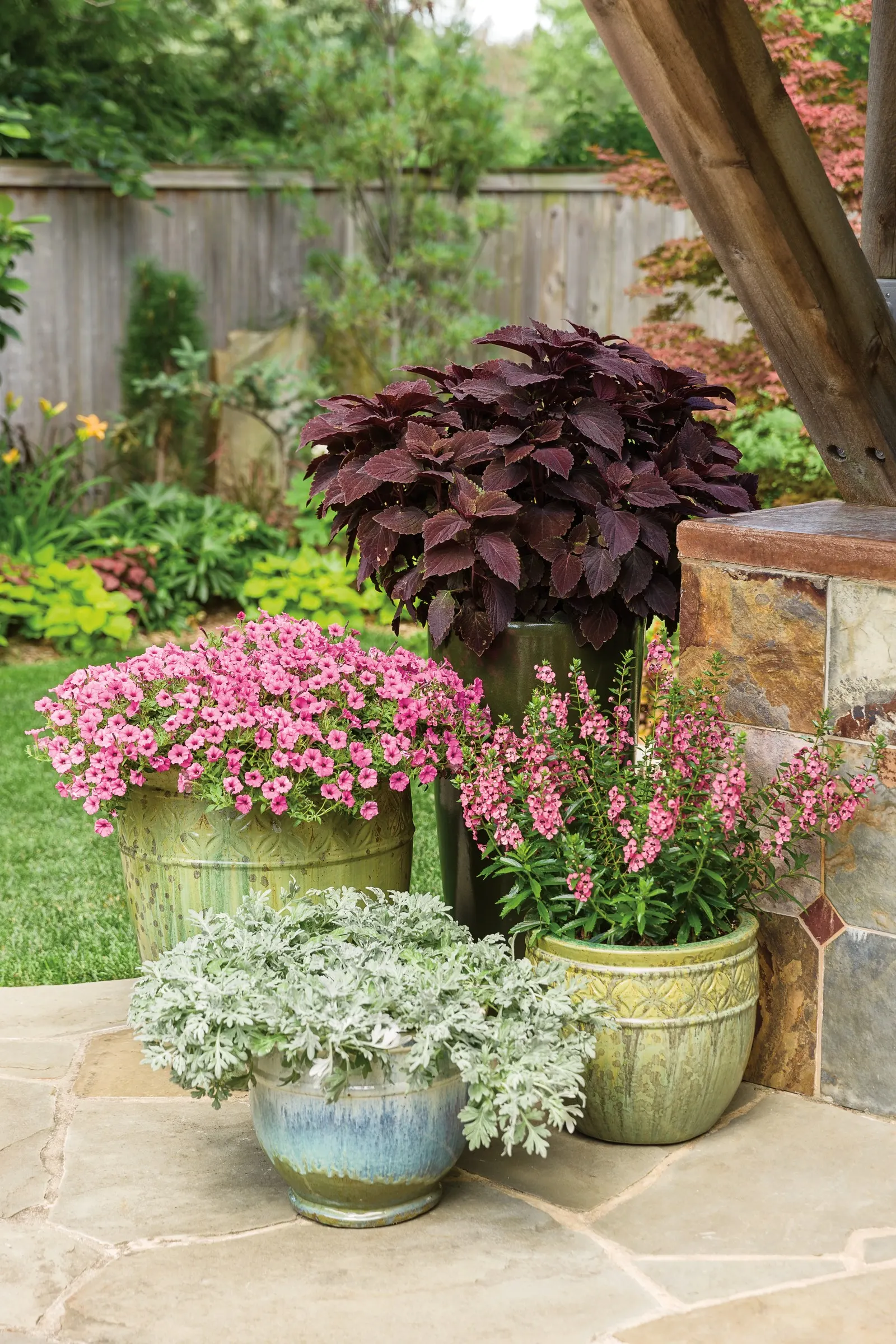 Rosé Verbena — Set against fresh green foliage