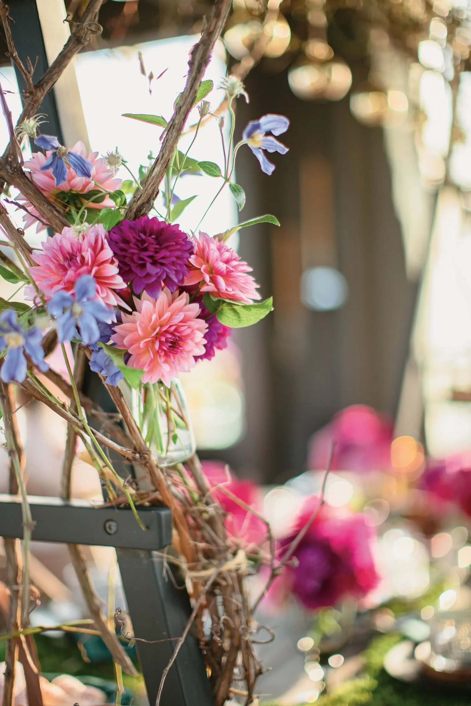 Classy Carmine™ Dahlia (Dahlia variabilis) — carried on proportional stems above a dense mound of dark green foliage