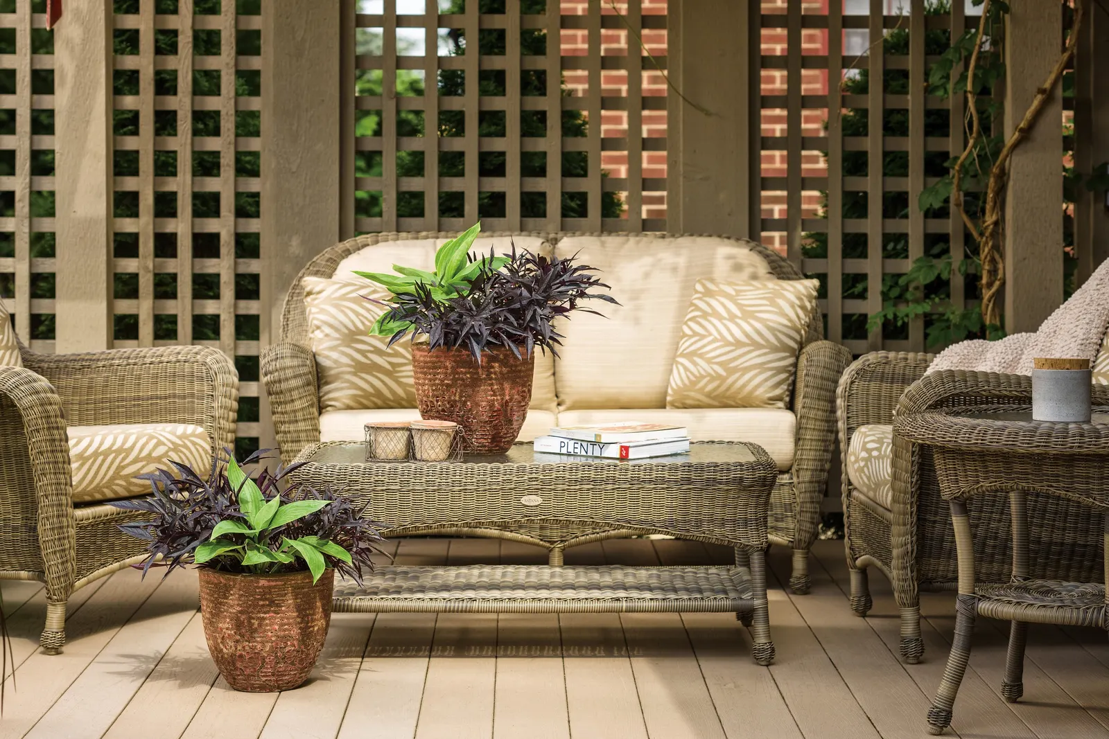 Giant 'Empress Wu' Hosta (Hosta hybrid) — information and resources
