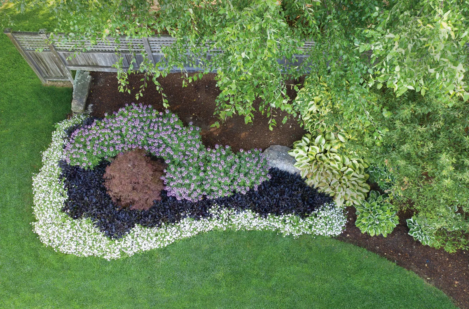 Silverberry Petunia — If you have a very long season; they will perform best if an application of controlled release fertilizer is included at the, image 55