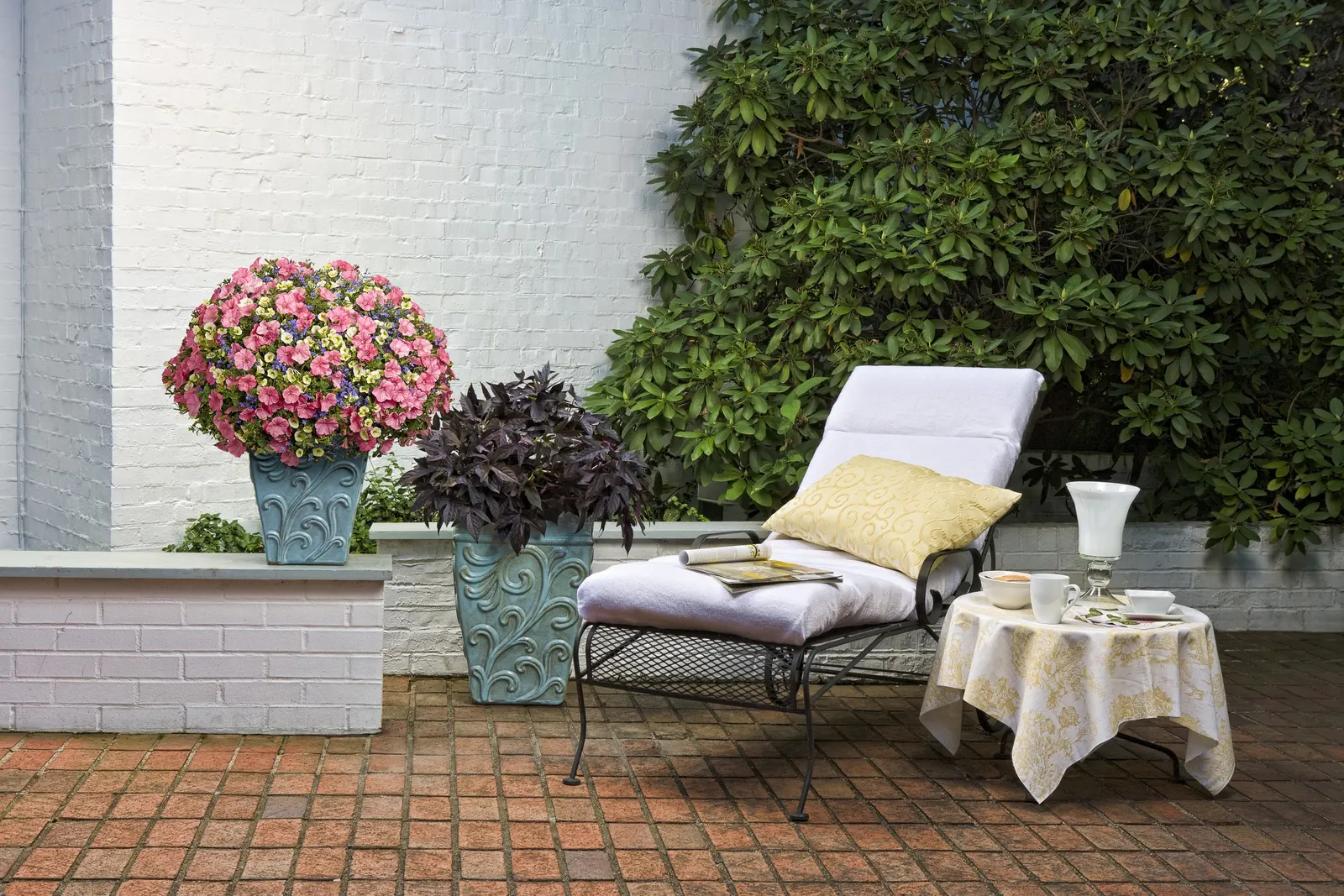 Bermuda Beach® III Petunia — Its medium pink flowers carry a subtle warmth that feels fresh rather than loud; bermuda Beach® III reaches 4-12 inches tall and