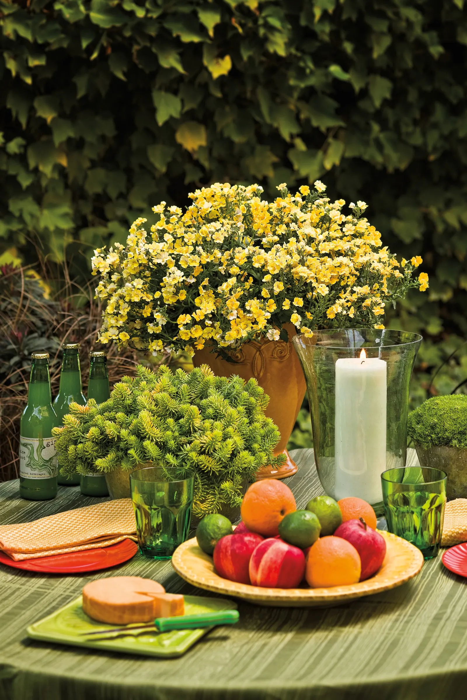 Yellow Chiffon™ Calibrachoa — If your plant is wilting even though the soil is still damp you likely have a root rot problem