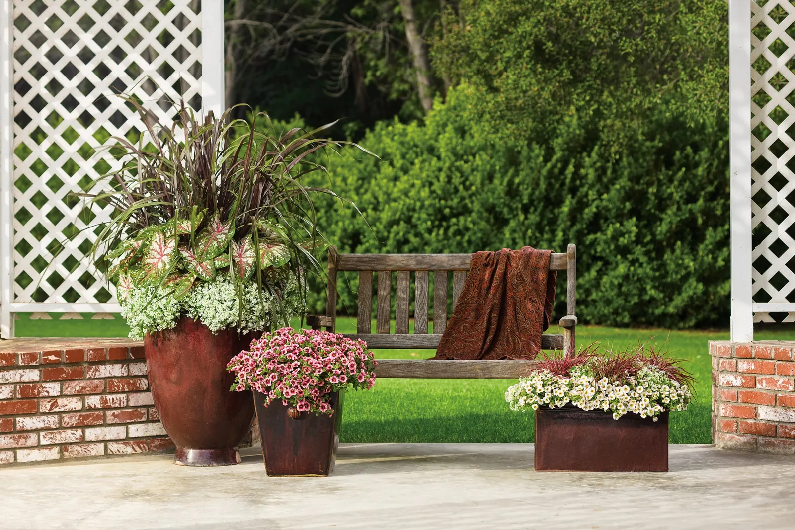 Strawberry Punch™ Calibrachoa — since they don't tolerate constantly wet soils well.