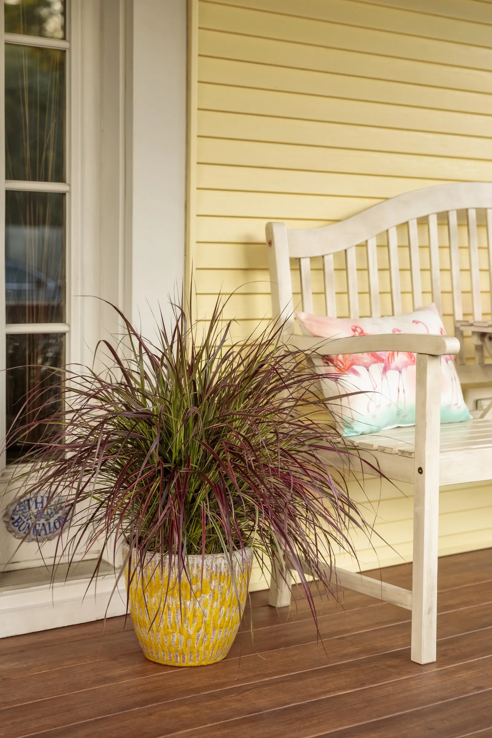 Fireworks Variegated Red Fountain Grass (Pennisetum setaceum) — Once your warm season grasses turn brown you can trim them back at almost any time, image 55