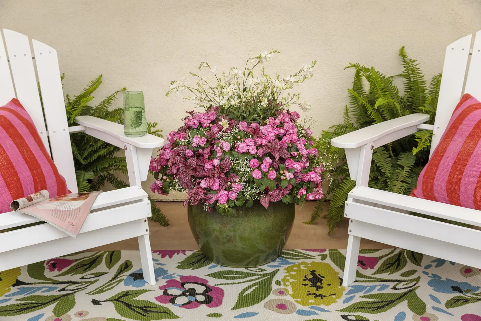Diamond Frost® Euphorbia — especially where afternoons are intense, image 233