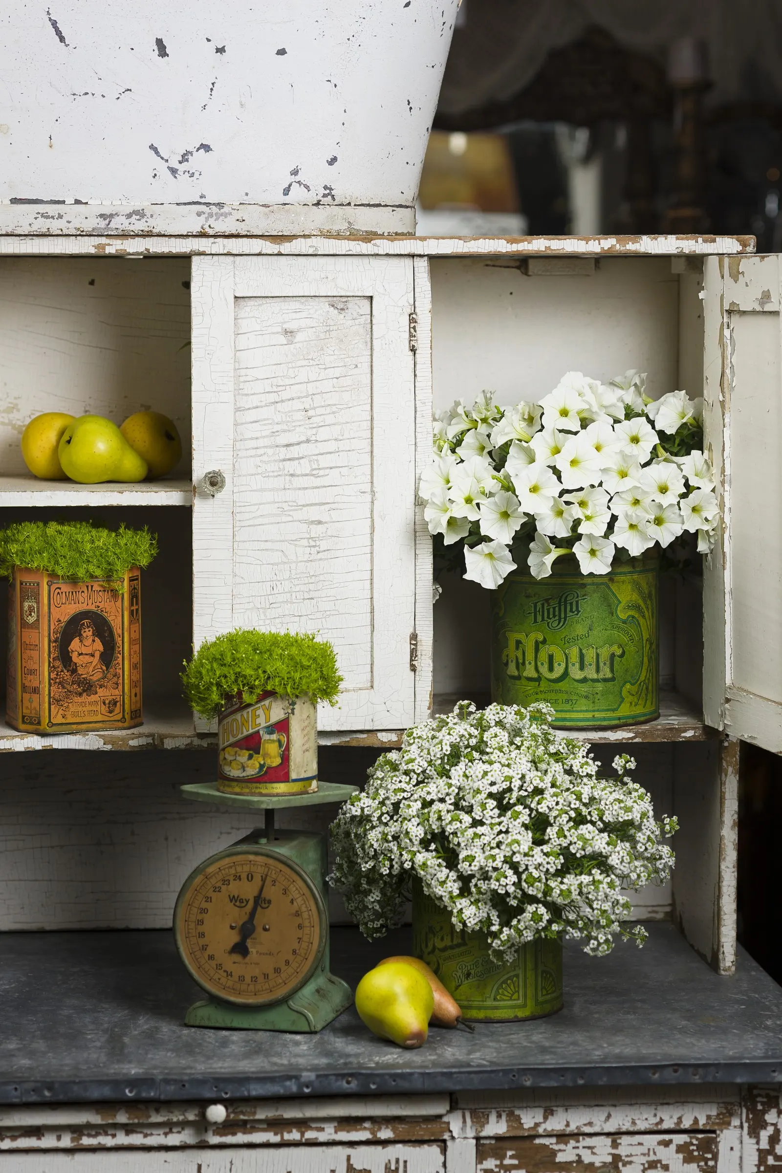 White Petunia — If you have a very long season