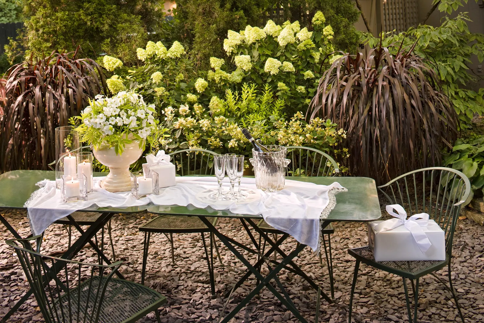 Limelight Panicle Hydrangea (Hydrangea paniculata) — You can use ' Limelight ' hydrangea just about any way you can imagine: as a showy flowering, image 66