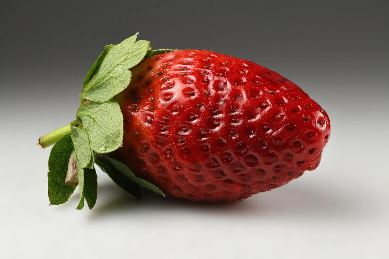 Garden Strawberry (Fragaria ananassa) — and hanging baskets where the blossoms and fruit can be admired up close
