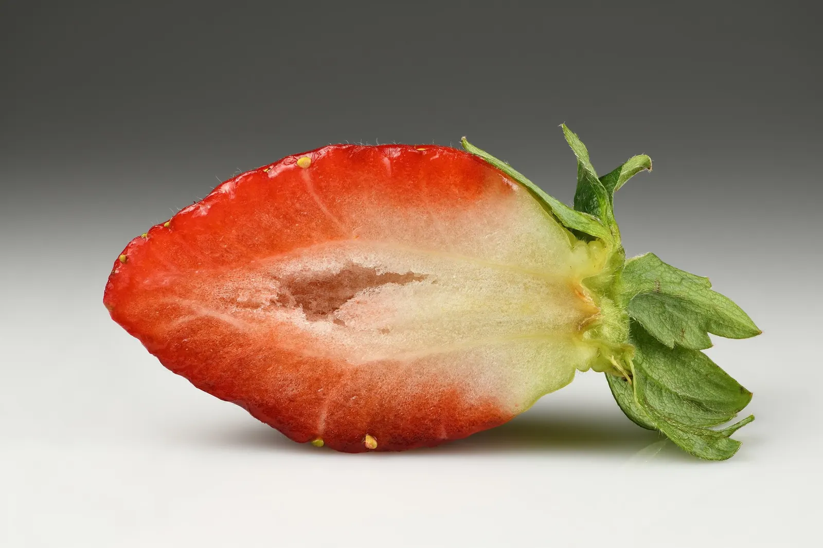 Garden Strawberry (Fragaria ananassa) — Bees are drawn to the vivid pink blooms