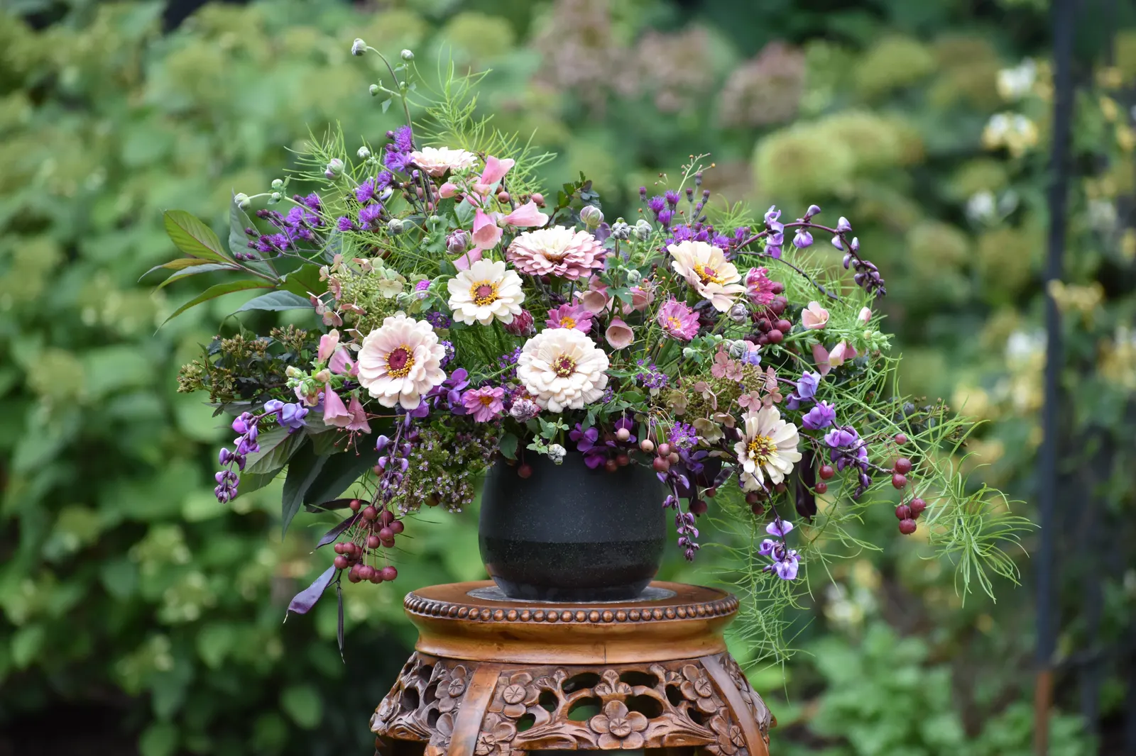 'Sweetly' Japanese Anemone (Anemone hybrid) — Deer and rabbits tend to leave this plant alone; heavily mulch in fall for the first two seasons to, image 22