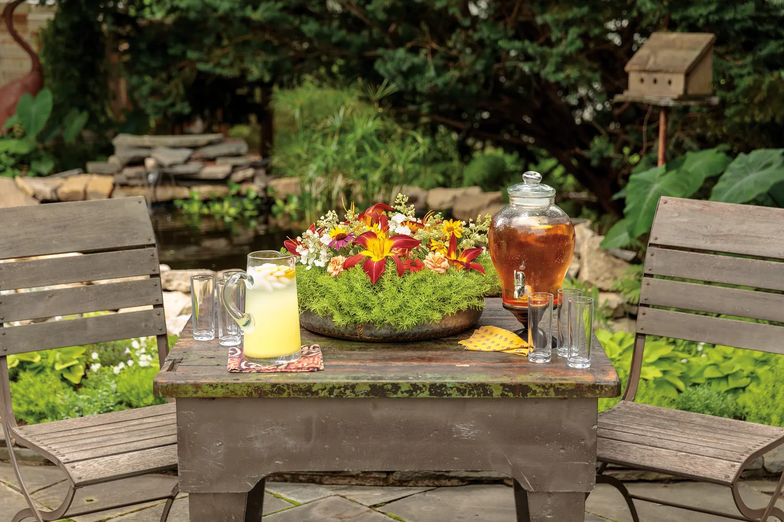 Quick Fire® Panicle Hydrangea (Hydrangea paniculata) — with attractive fall foliage