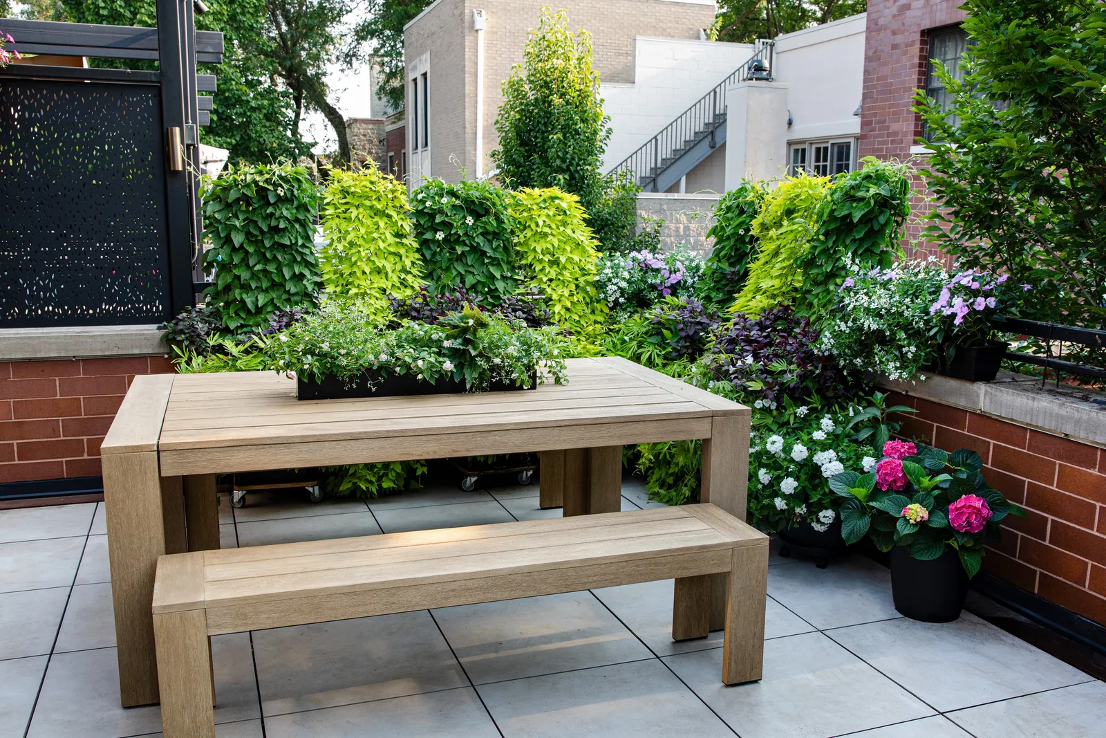 Marshmallow™ Bidens — where heat brings out its best performance