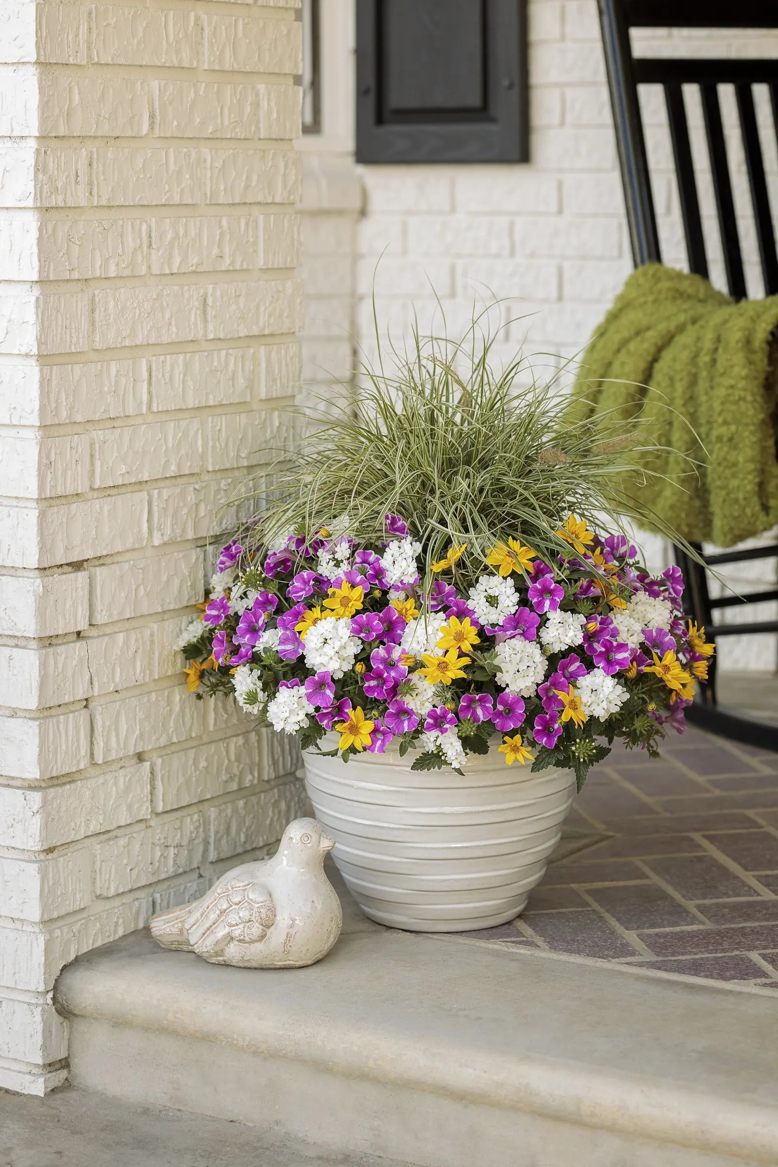 Raspberry Rush™ Petunia — Hardy in USDA Zones 10a-11b