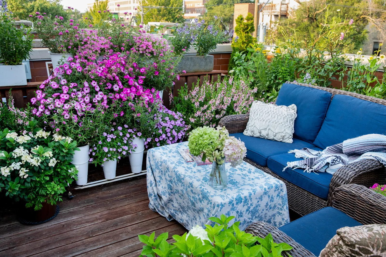 Marshmallow™ Bidens — cooling effect against finely textured green foliage