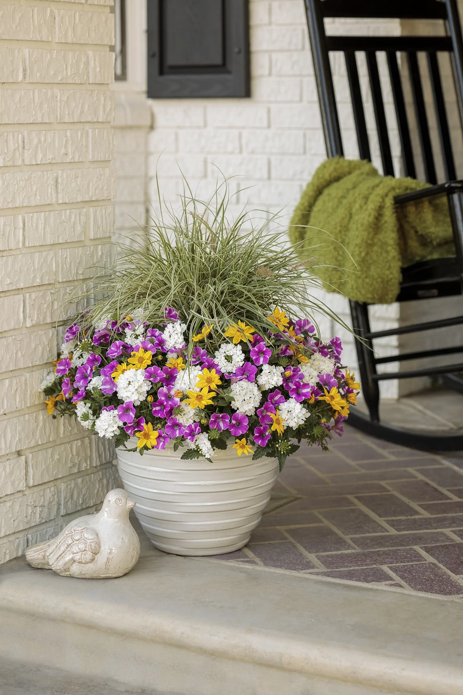 Whiteout™ Verbena — is a vigorous mounding-trailing annual that brings a clean