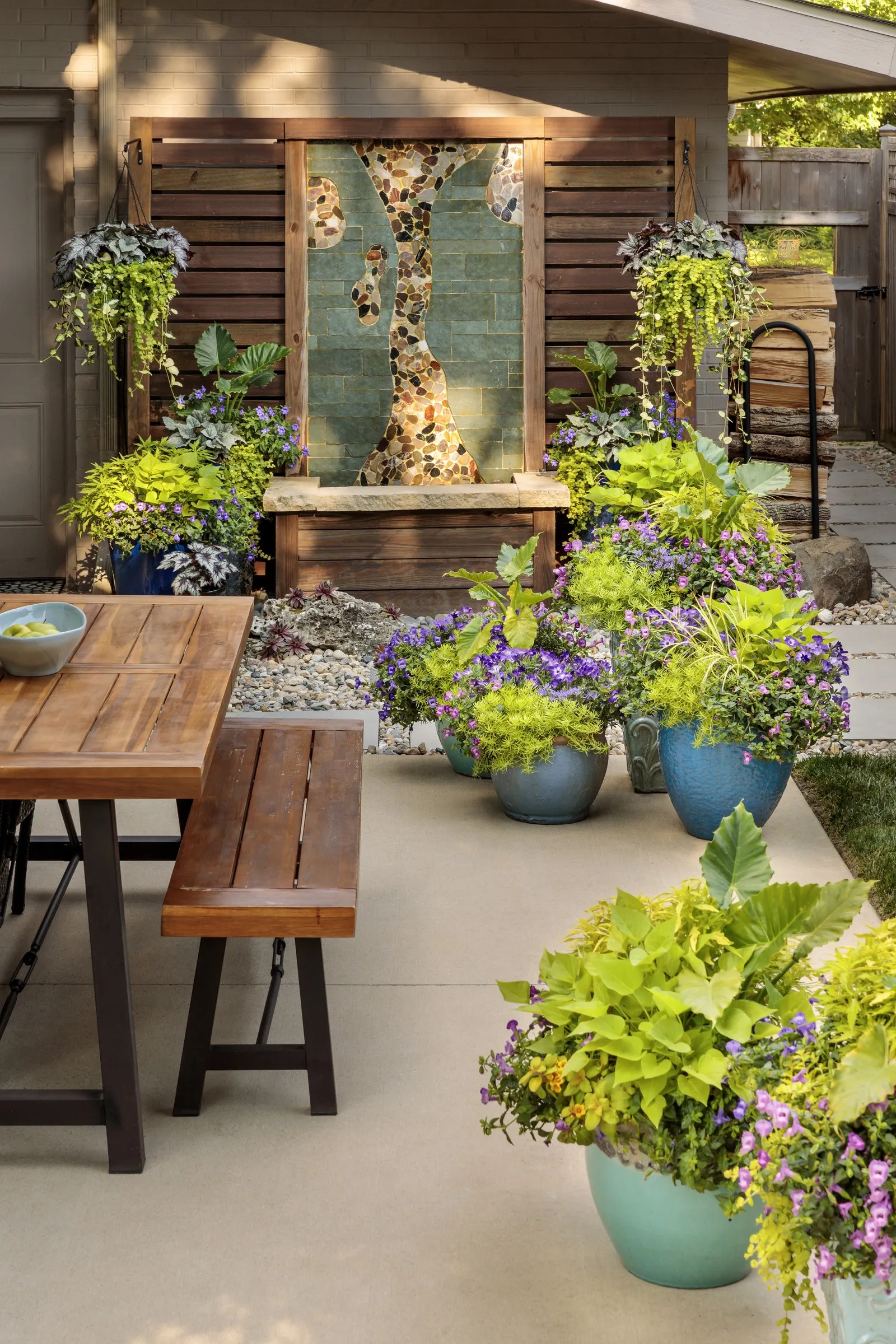 Blue Tiara™ petunia — Though grown as an annual in most climates