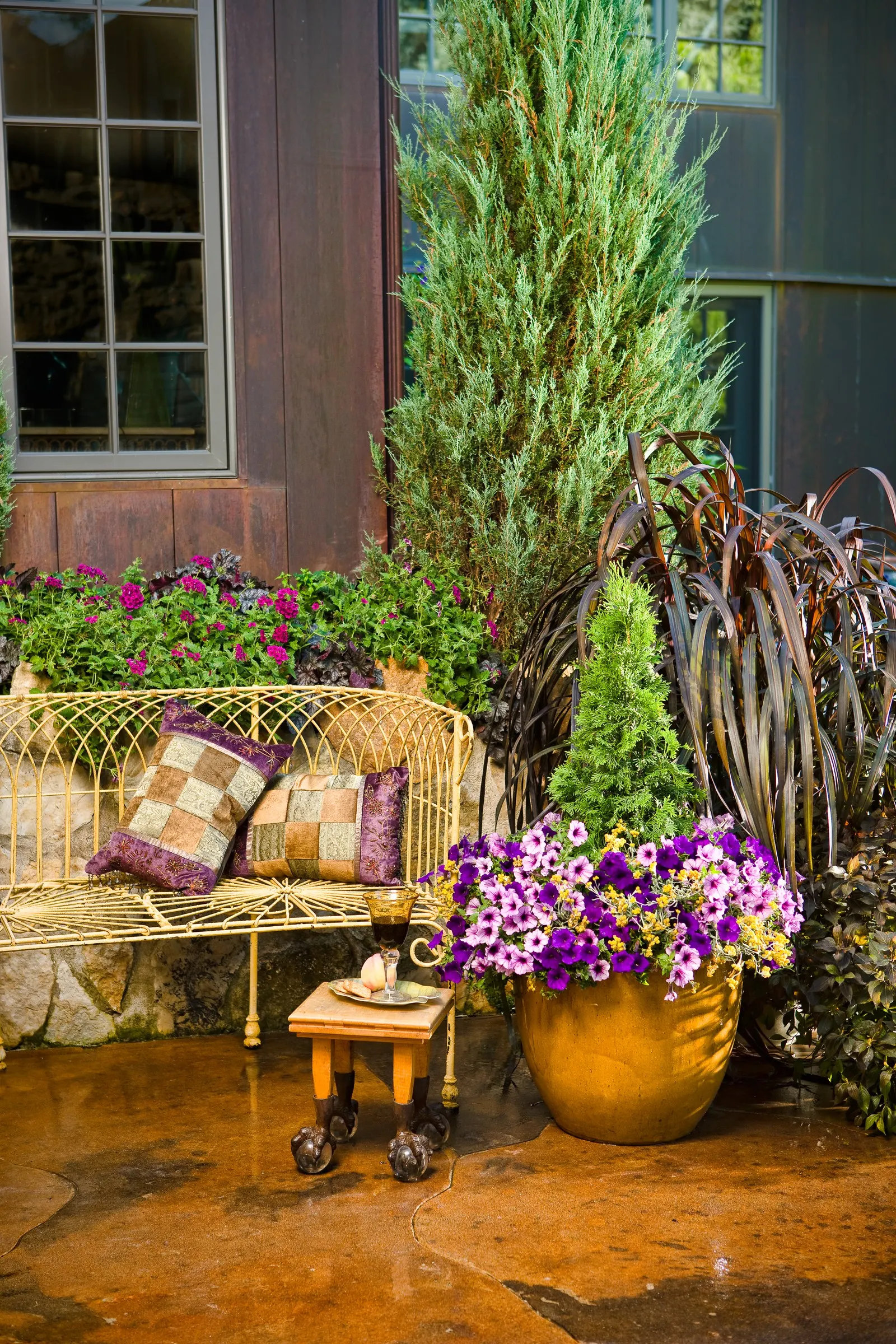 North Pole® Arborvitae (Thuja occidentalis) — commonly referred to as North Pole® Arborvitae