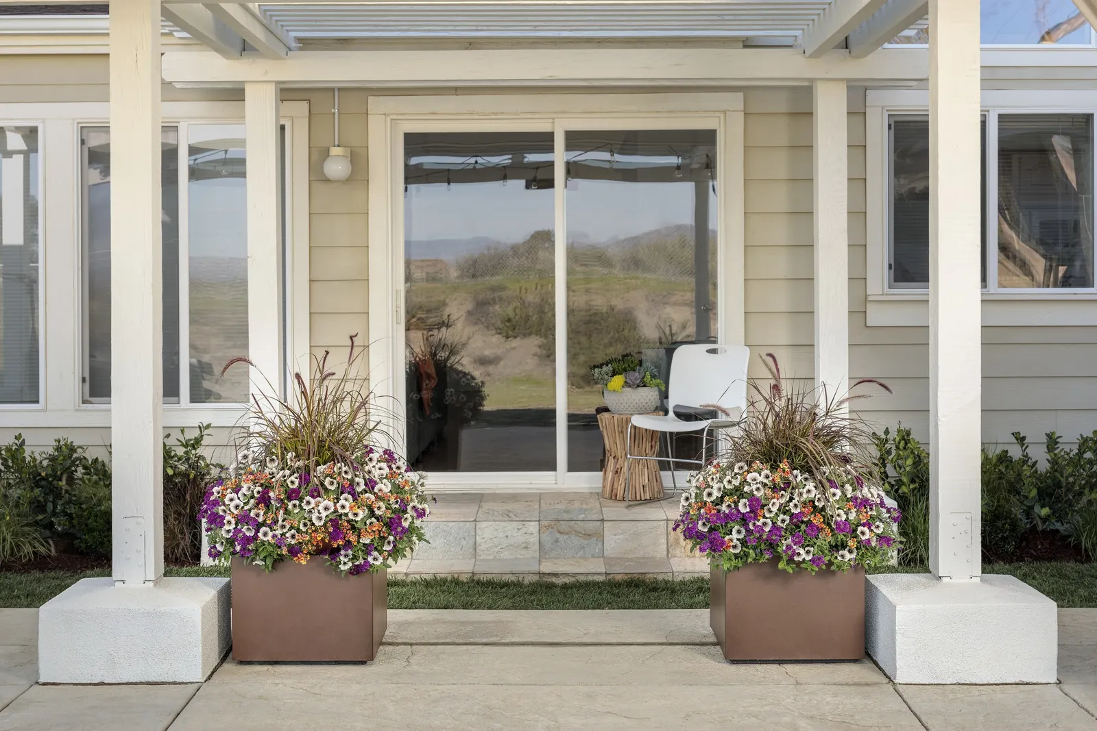 Blood Orange™ Nemesia — this selection has the refined fullness designers look for in container work