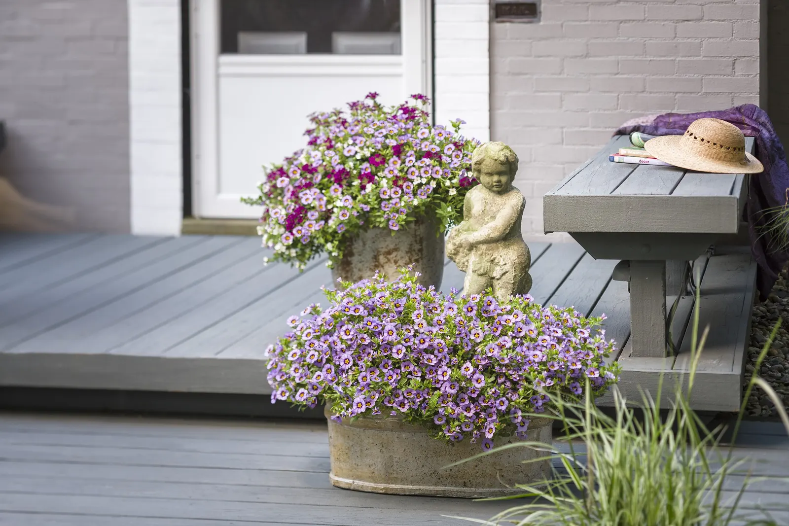 Evening Star™ II Calibrachoa — The pattern remains notably consistent across the flowers