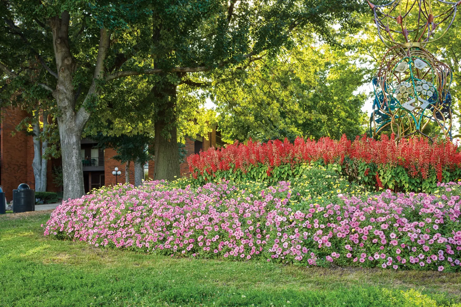 Bubblegum® II Petunia — and self-cleaning flowers that don’t require deadheading to bloom non-stop from planting time until hard frost