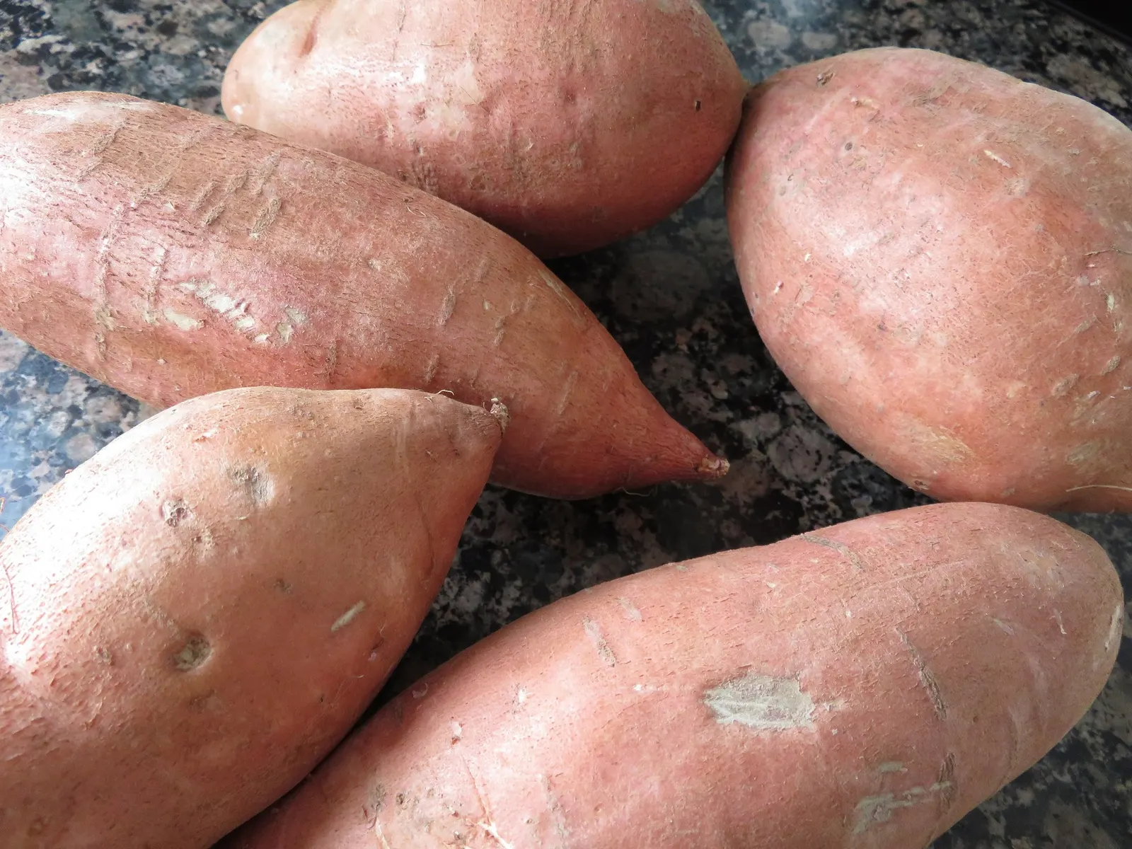 Marguerite Sweet Potatoe Vine (Ipomoea batatas 'Marguerite') — Department of Agriculture plant hardiness zones 9 to 11 as a perennial