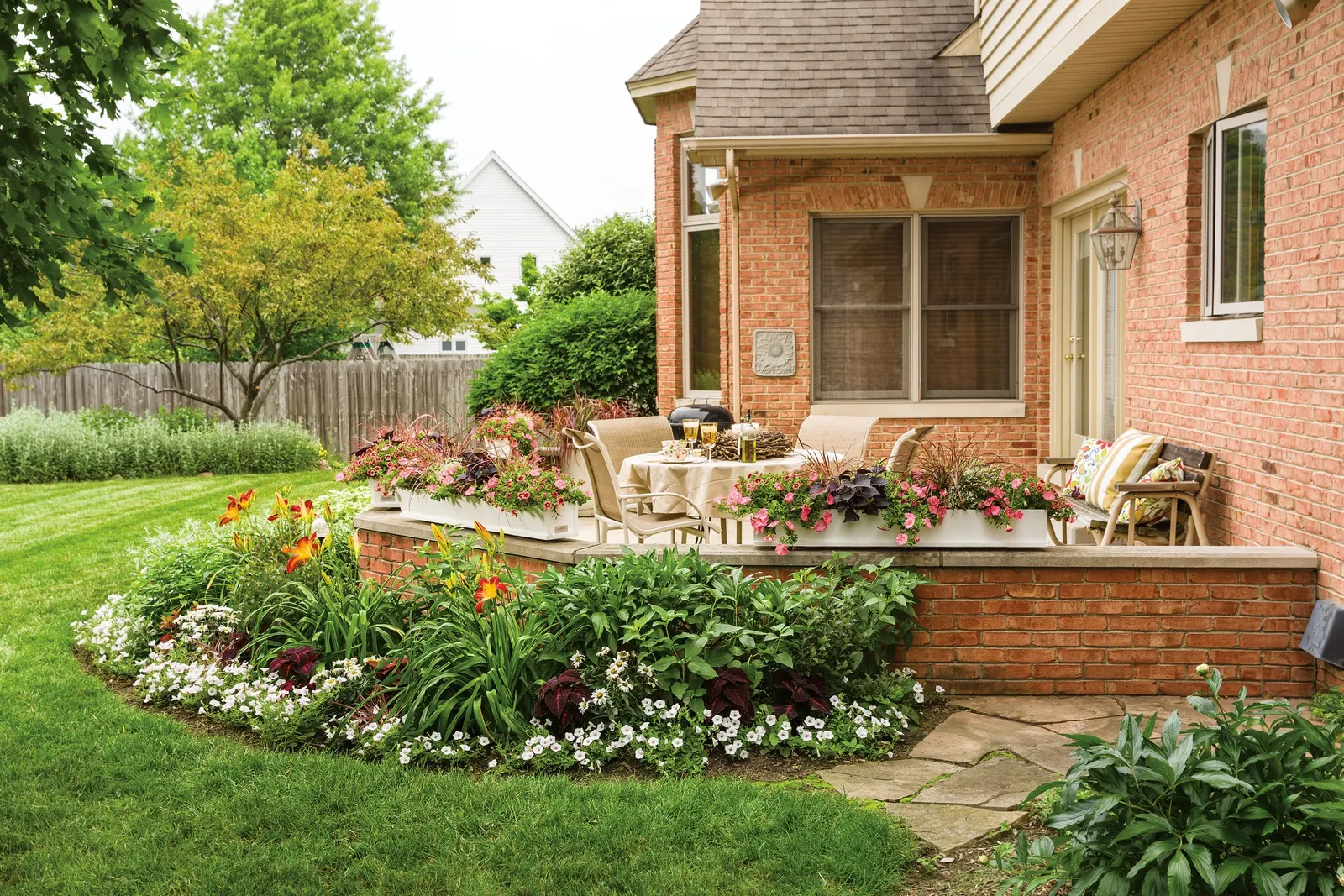 Daisy May® Shasta Daisy (Leucanthemum superbum) — where it receives the light needed for strong stems and abundant flowering