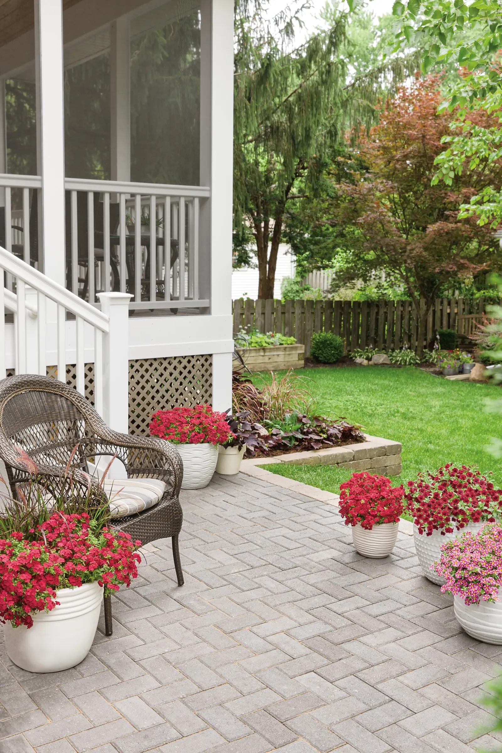 Double Ruby Double Calibrachoa — The plants are low-maintenance with no deadheading needed