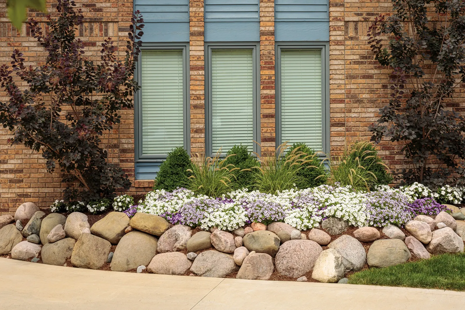 White Petunia — They will perform best if an application of controlled release fertilizer is included at the time of planting; i pair any trim with, image 58