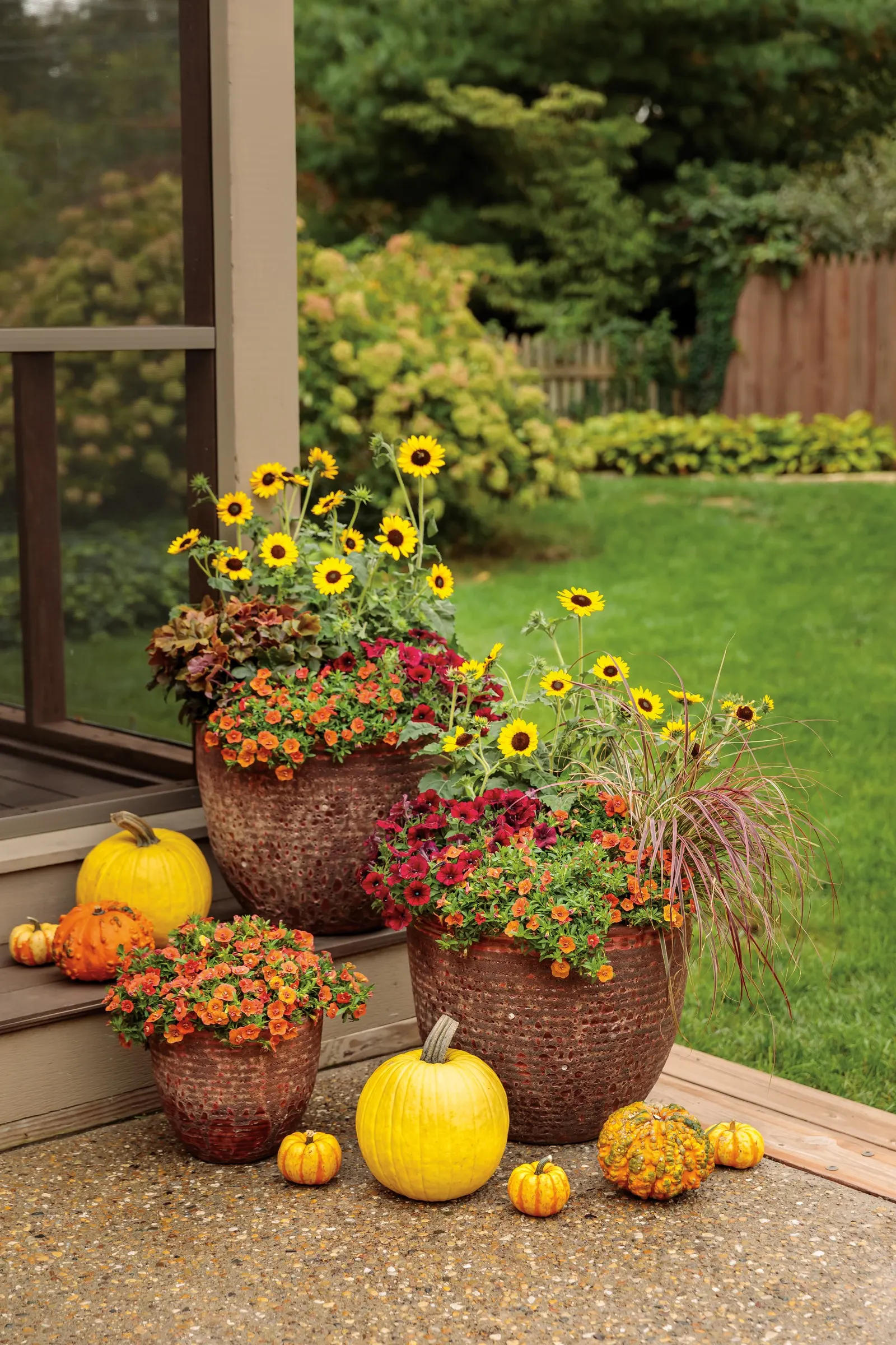 Double Orange Double Calibrachoa — It grows 6-12 inches tall and spreads 12-24 inches