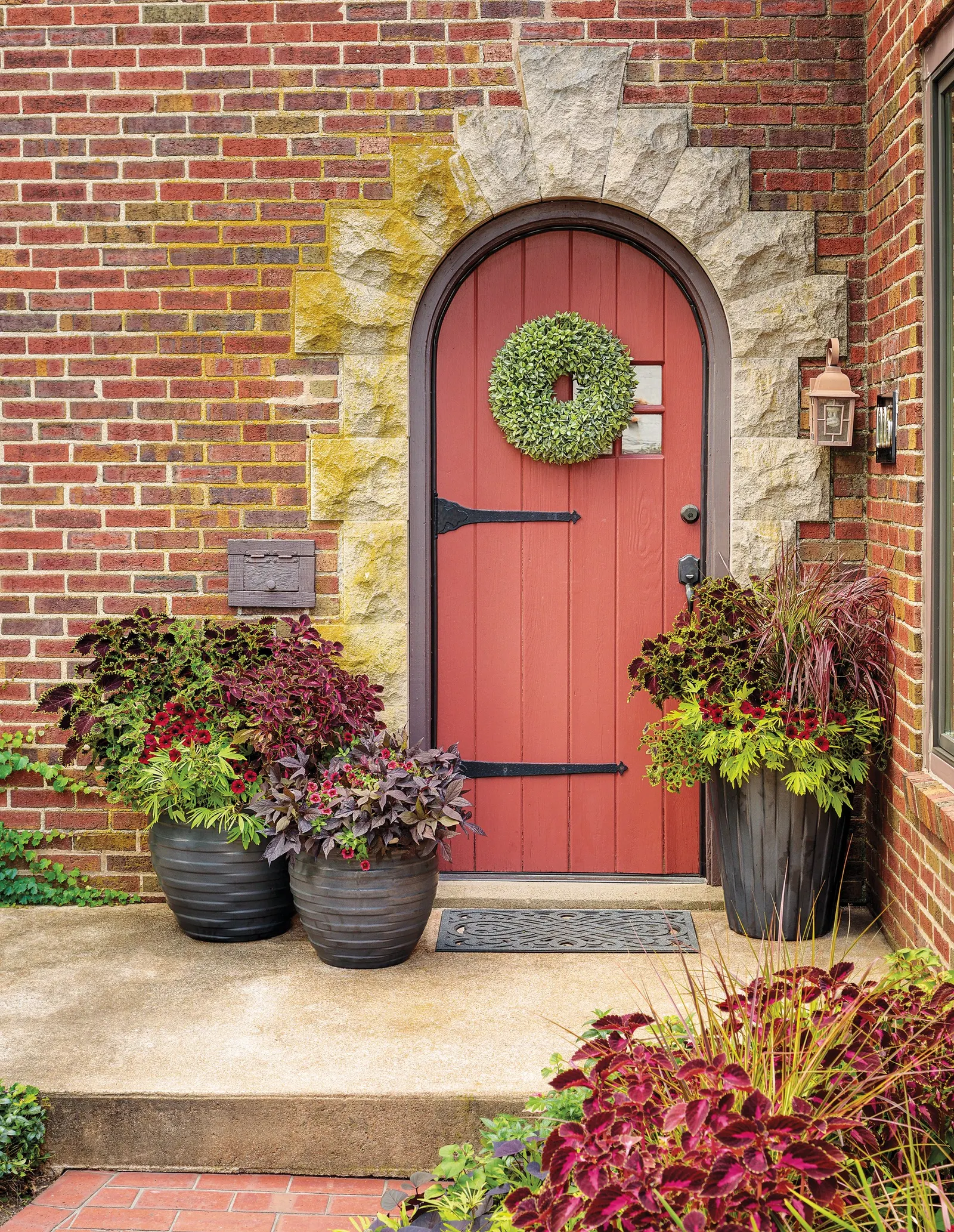 Pomegranate Punch™ Calibrachoa — commonly referred to as Pomegranate Punch™ Calibrachoa