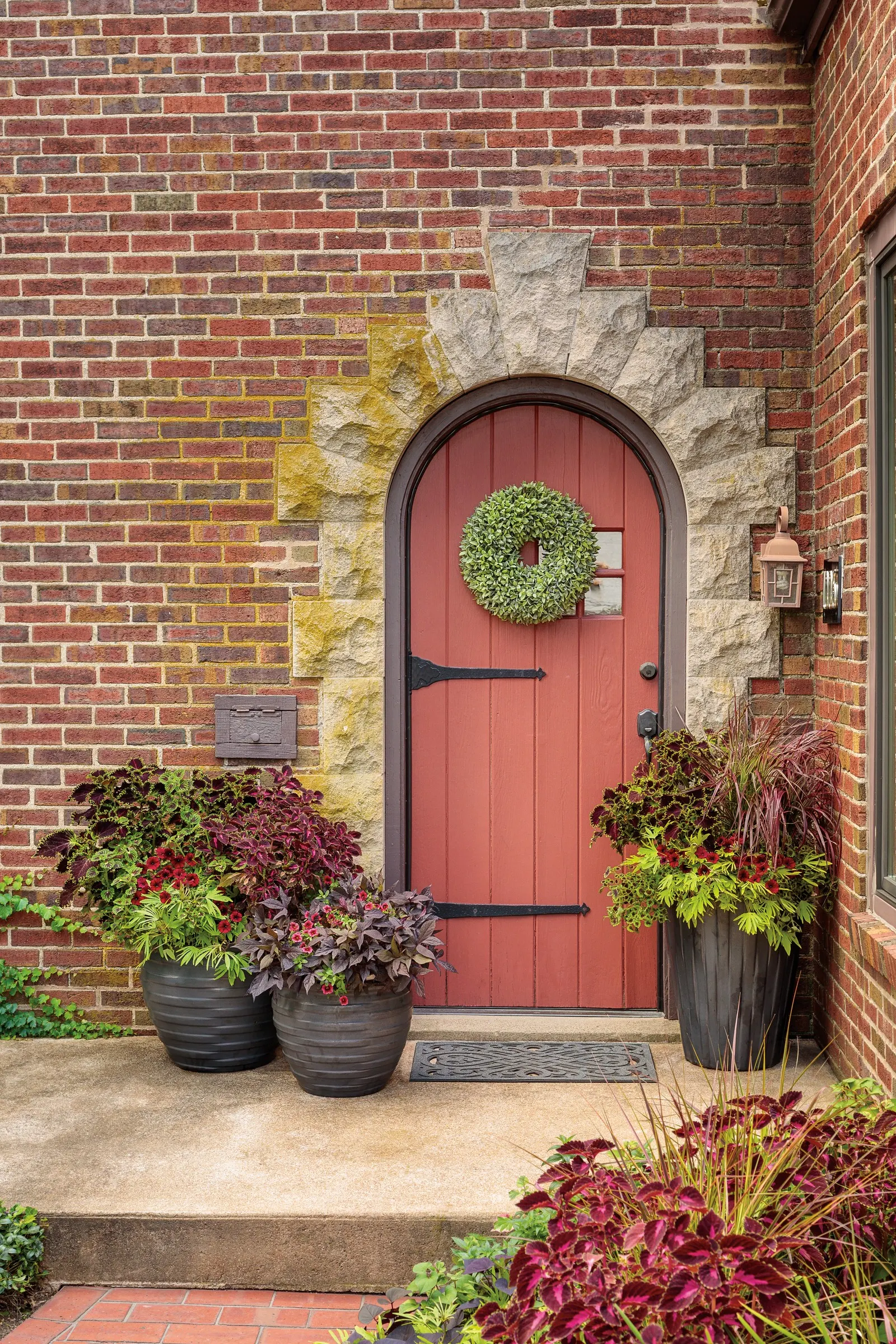 Pomegranate Punch™ Calibrachoa — is a richly colored annual from Proven Winners® that brings a dramatic
