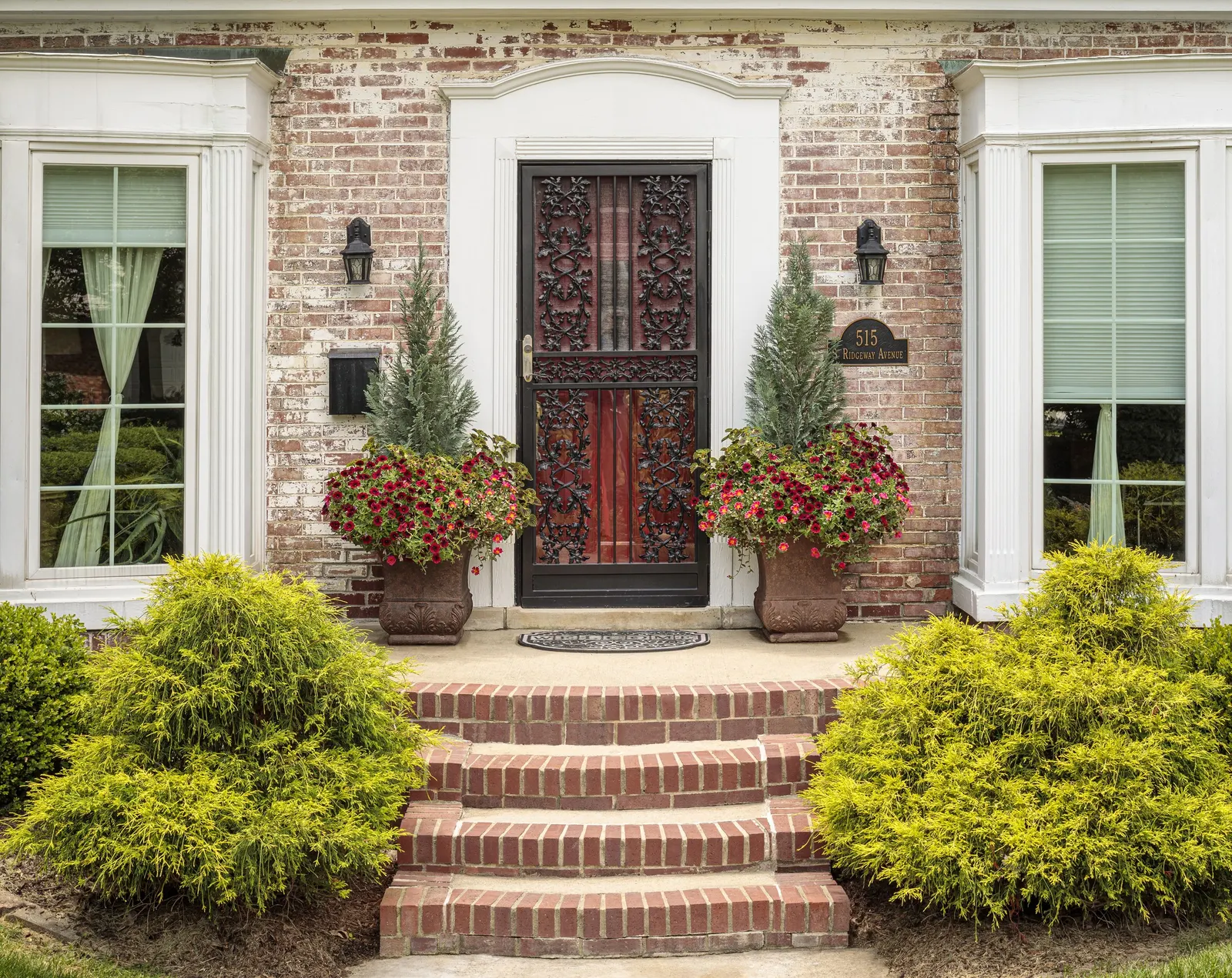 Black Cherry® Petunia — making it easy to tuck into tight compositions while still delivering strong visual impact; especially against the clean green foliage