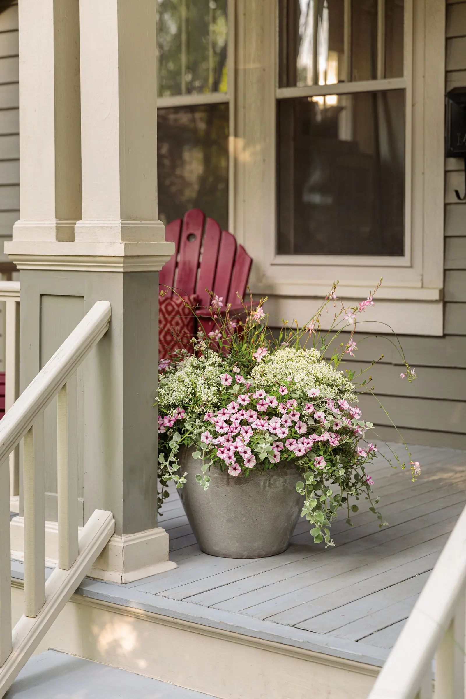 Pink Star Petunia — admired for its crisp white blooms brushed with a cameo-pink star