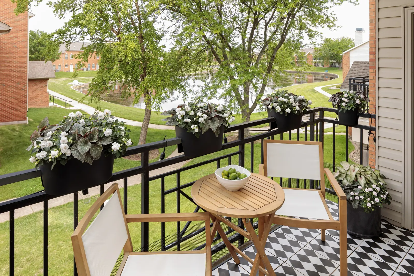 Appleblossom Double Impatiens (Impatiens walleriana) — Proven Winners - Rockapulco® Appleblossom - Double Impatiens - Impatiens walleriana pink plant details