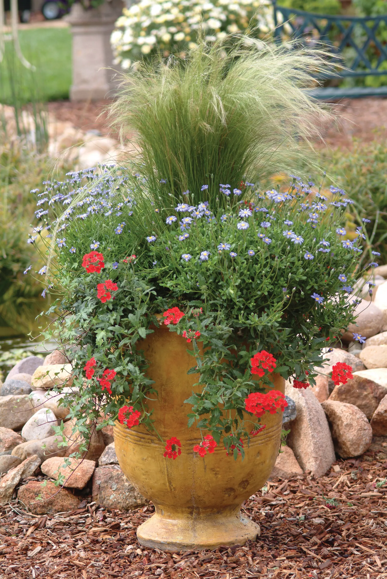 Red Verbena (Verbena Peruviana 'Red') — ground cover / perennial with red blooms