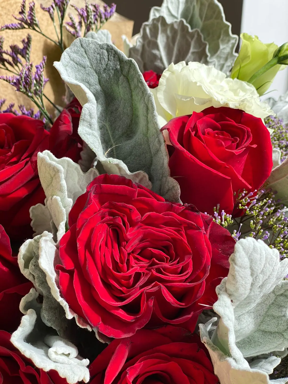 Spanish Red Rose (Rose 'Spanish Red') — or as a dramatic hedge that will allure the senses of any onlooker